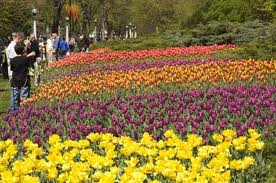 ទួរទេសចរណ៍មួយចំនូននានិទាឃរដូវឆ្នាំ២១២នៅវៀតណាម។